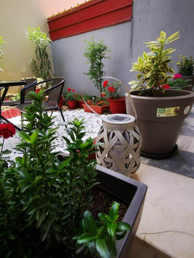 Hermes Modern Apartment Alexandroupoli Eksteriør billede